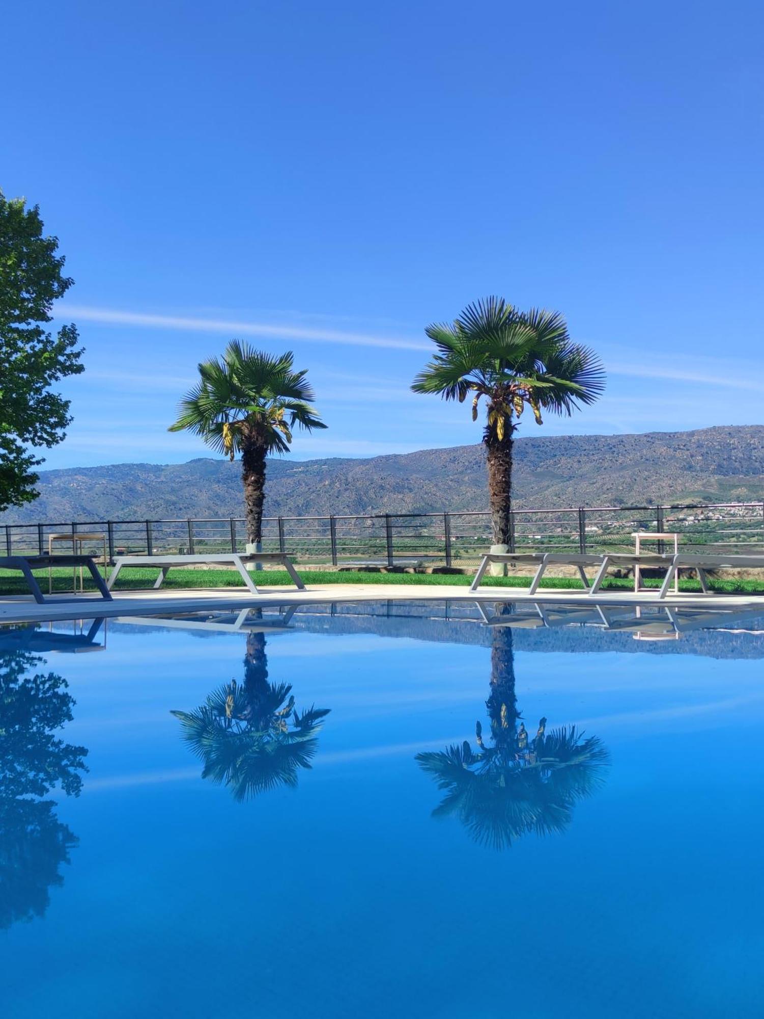Quinta Da Terrincha Guest House Torre De Moncorvo Ngoại thất bức ảnh