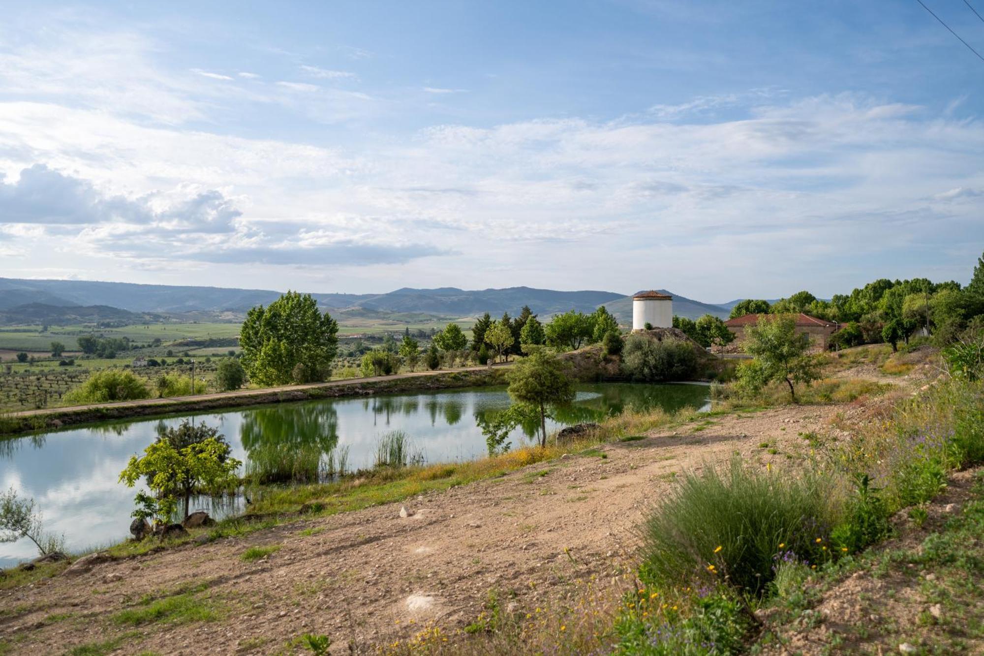 Quinta Da Terrincha Guest House Torre De Moncorvo Ngoại thất bức ảnh