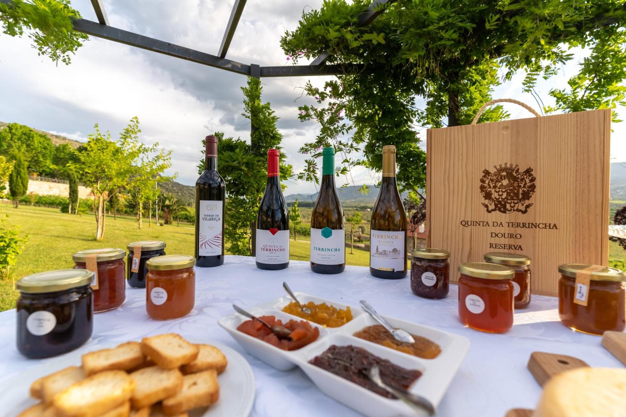 Quinta Da Terrincha Guest House Torre De Moncorvo Ngoại thất bức ảnh