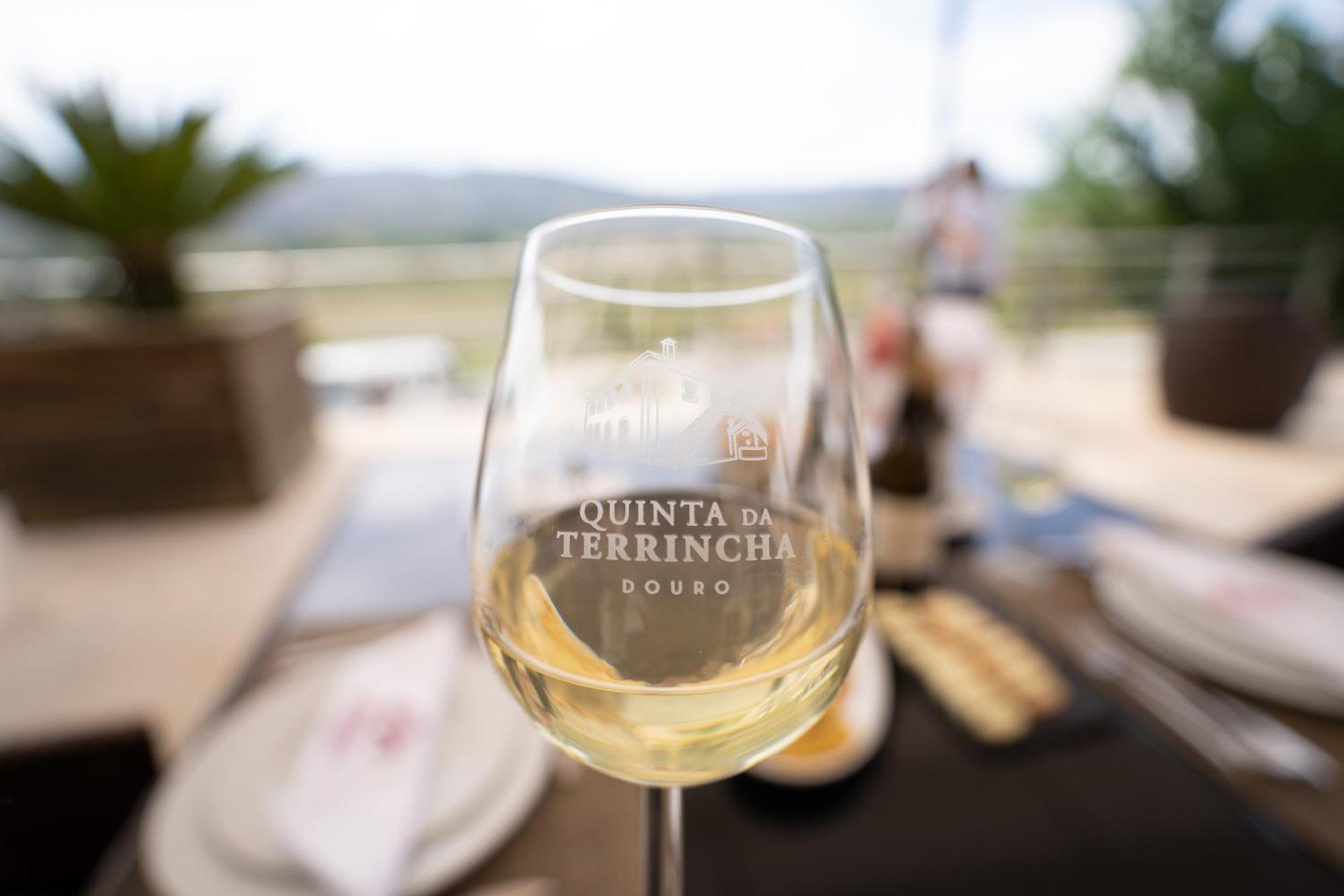Quinta Da Terrincha Guest House Torre De Moncorvo Ngoại thất bức ảnh