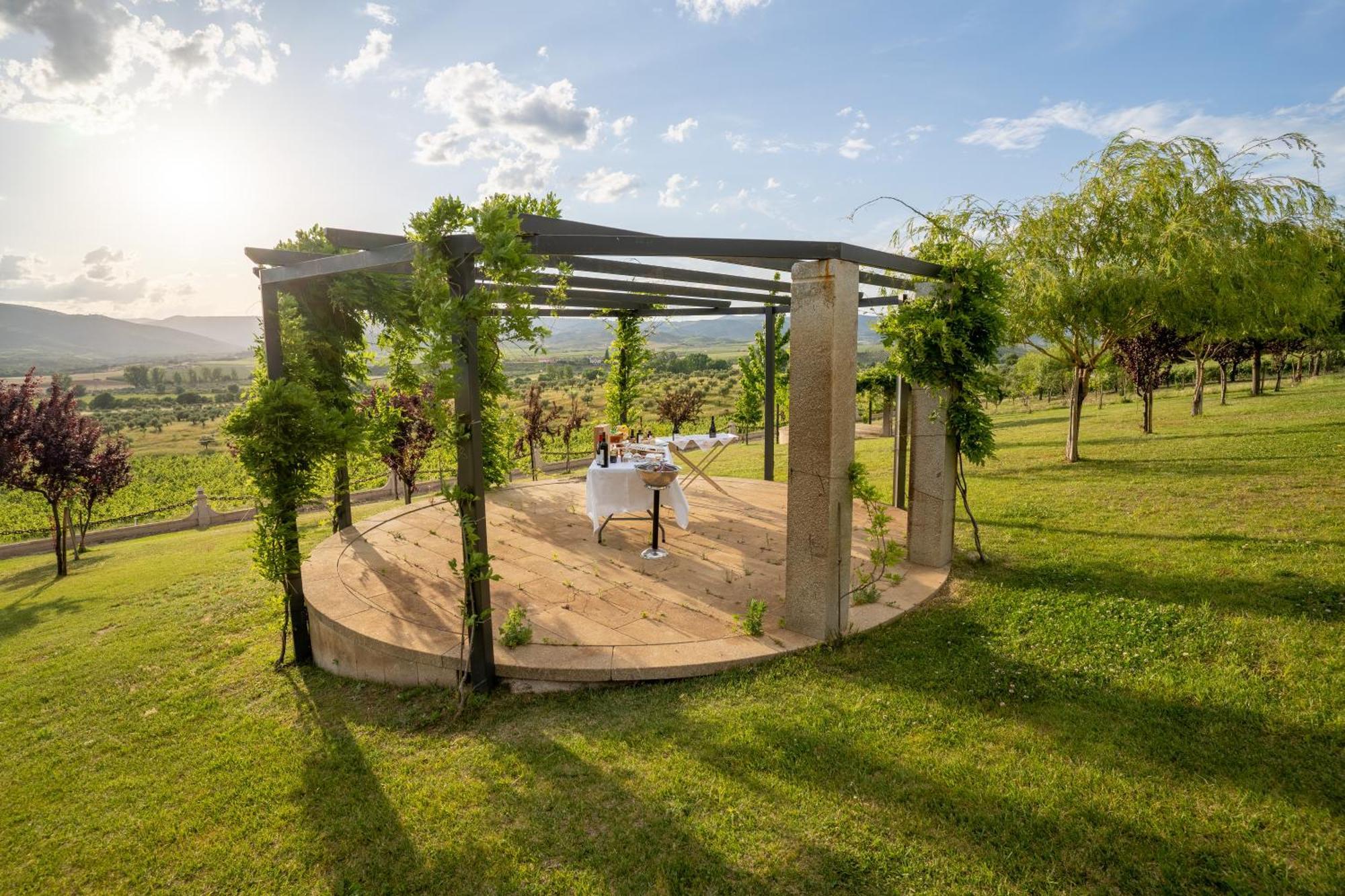 Quinta Da Terrincha Guest House Torre De Moncorvo Ngoại thất bức ảnh
